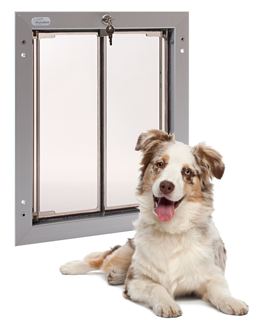 Dog Doors for Puppies or Dogs in St. Louis • St. Louis Dog Fence